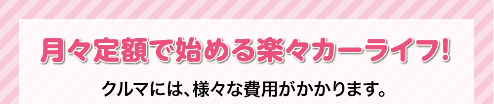 月々定額で始める楽々カーライフ